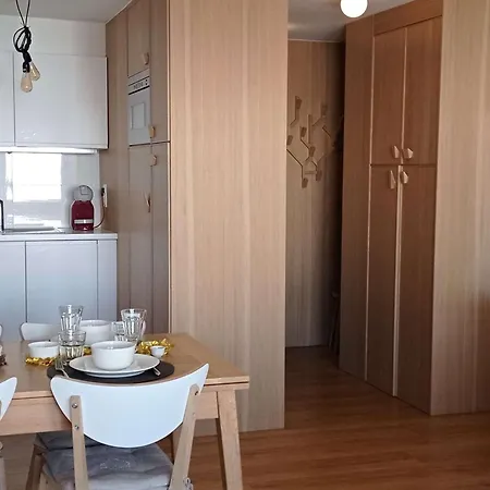 Appartement Rénové 47m² - 6 Pers, Proche Pistes Et Commodités, Quartier Animé, Parking Inclus - Fr-1-545-32